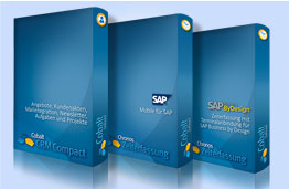 SAP Zeiterfassung